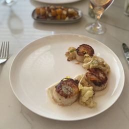 Scallop