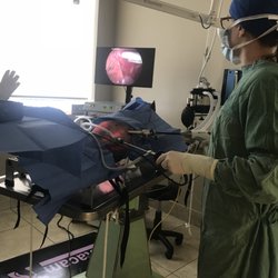 ritson veterinary clinic