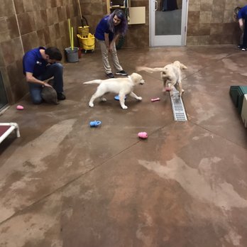PetSmart - Pet Stores Near Me - Charlotte, North Carolina