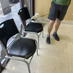 Carballo Animal Clinic
