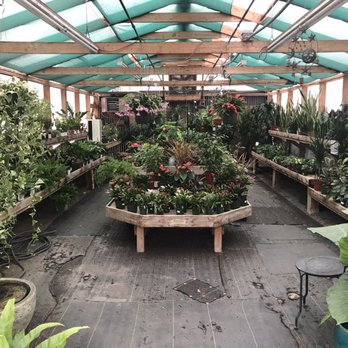 Yamaguchi Bonsai Nursery - I love indoor plants! - Nurseries & Gardening Near Me - Los Angeles, California Yamaguchi Bonsai Nursery - I love indoor plants! - Nurseries & Gardening Near Me - Los Angeles, California