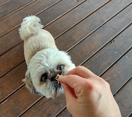 Bloom Roadside by null