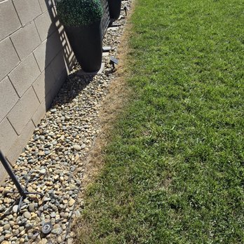 Qr Lawn Services - Overspray from weed killer - Lawn Services Near Me Qr Lawn Services - Overspray from weed killer - Lawn Services Near Me