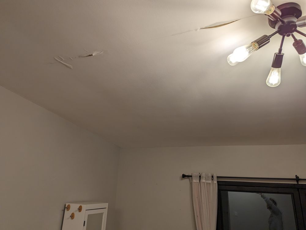 Slide of Treeium Energy