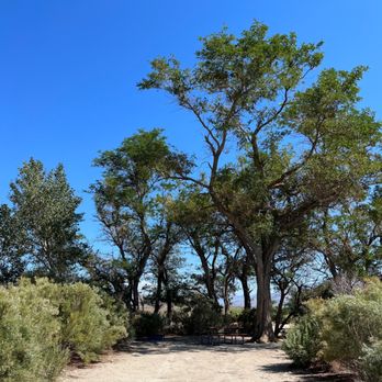 Taboose Campground - Typical campsite. - Hiking Near Me - Independence, California Taboose Campground - Typical campsite. - Hiking Near Me - Independence, California