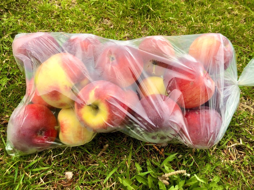 Carluke Orchards Logo