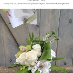 Peace Arrangement