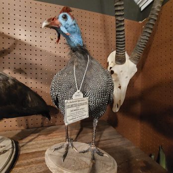 Adjectives Market - Antiques Near Me - Winter Garden, Florida