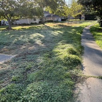 Land Care - Pool work - Landscaping Near Me - Windsor, California
