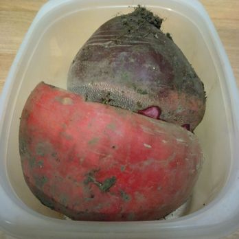 Nick House Gardening - Beetroots 5" & 4" in diameter! - Gardeners Near Me - Los Angeles, California Nick House Gardening - Beetroots 5" & 4" in diameter! - Gardeners Near Me - Los Angeles, California