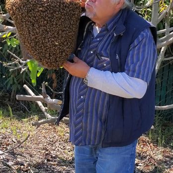 Joe's Honey - I think this is why Joe's Honey is so good, because he loves his bees. - Honey Near Me - Hayward, California Joe's Honey - I think this is why Joe's Honey is so good, because he loves his bees. - Honey Near Me - Hayward, California