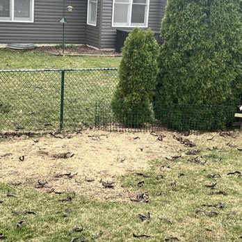 Gray Tree Service - Tree removal debris. - Tree Services Near Me - Mount Prospect, Illinois