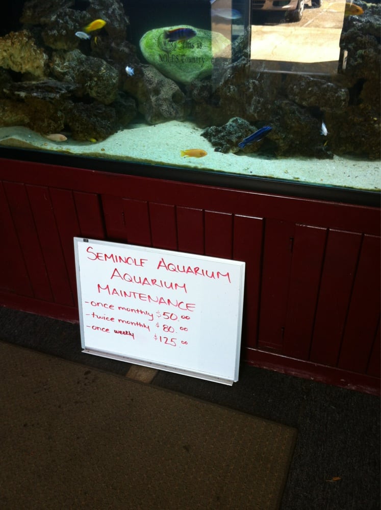 SEMINOLE AQUARIUM 2512 Balsam Ter, Tallahassee, Florida Aquarium