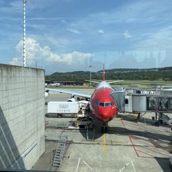 Edelweiss Air - Airbus