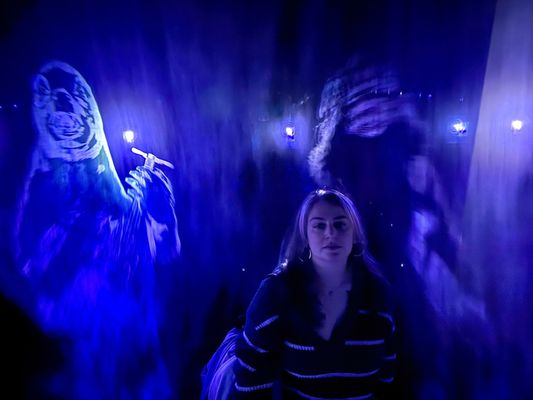 teamLab Borderless: MORI Building DIGITAL ART MUSEUM by null