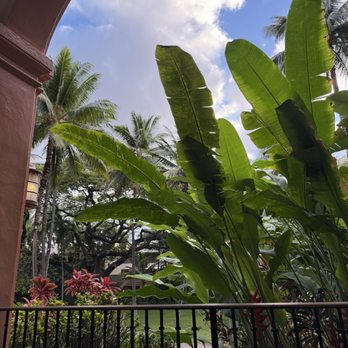 Royal Hawaiian Bakery - Nice view from seating area - Bakeries Near Me - Honolulu, Hawaii Royal Hawaiian Bakery - Nice view from seating area - Bakeries Near Me - Honolulu, Hawaii