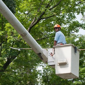 Guillermo's Landscaping - a man working on a power pole - Pressure Washers Near Me - Kingston, Washington