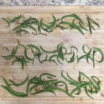 City Compost - Green Beans from growing experiment. Top to bottom: 3, 2, and 1 inch of compost mixed with top soil. - Recycling Center Near Me