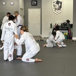 Tao of Jiu Jitsu