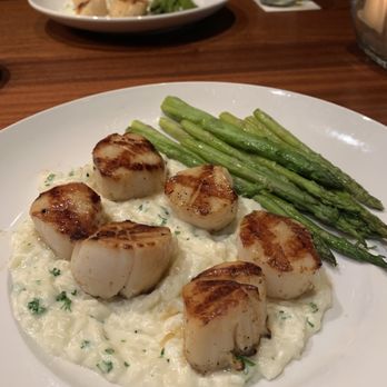 Seasons 52 - Scallops - New American Near Me - Coral Gables, Florida Seasons 52 - Scallops - New American Near Me - Coral Gables, Florida