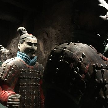 Pacific Science Center - Museums Near Me - Seattle, Washington Pacific Science Center - Museums Near Me - Seattle, Washington