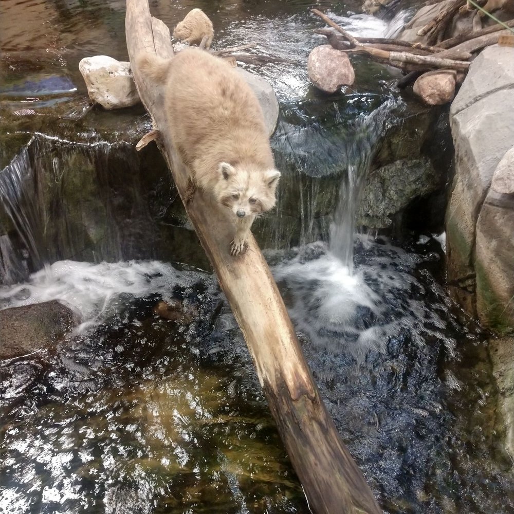 Cabela's - Just cool - Outdoor Gear Near Me - Dundee, Michigan Cabela's - Just cool - Outdoor Gear Near Me - Dundee, Michigan