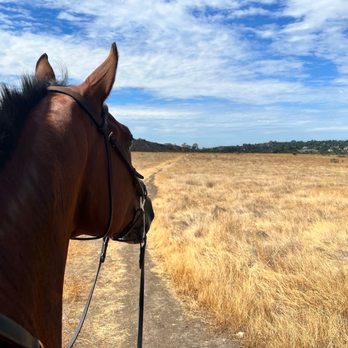 Olivewood Acres - Horse Boarding Near Me - Alpine, California