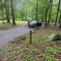 Photo of Abrams Creek Campground