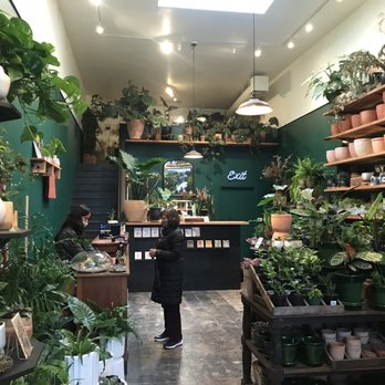 Crimson Horticultural Rarities - My mom's addicted to this store - Flowers & Gifts Near Me - Oakland, California Crimson Horticultural Rarities - My mom's addicted to this store - Flowers & Gifts Near Me - Oakland, California