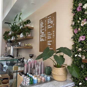 Coffee and Plants - Coffee & Tea Near Me - Pasadena, California Coffee and Plants - Coffee & Tea Near Me - Pasadena, California