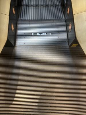 Neiman Marcus by null