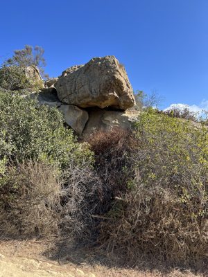 Laguna Coast Wilderness Park: Big Bend by null
