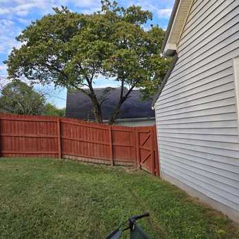 Tolbert's Tree Service - Tree #1 - Tree Services Near Me Tolbert's Tree Service - Tree #1 - Tree Services Near Me