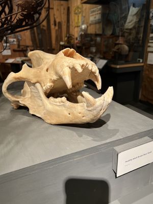 Tongass Historical Museum by null