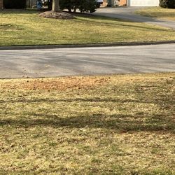 Cox Construction & Plumbing