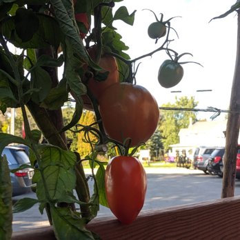 Wild Tomato - Tomatoes adorn the sides of one table outside. It's a trade-off for being far away from the heat sources. - Pizza Near Me - Fish Creek, Wisconsin Wild Tomato - Tomatoes adorn the sides of one table outside. It's a trade-off for being far away from the heat sources. - Pizza Near Me - Fish Creek, Wisconsin