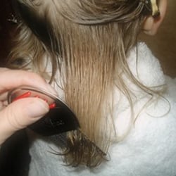 Nit Picky Lice Removal Service - Head Lice Removal