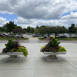 Arbor Accounting - Parking Lot L