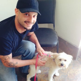 Pet Salon - Dave & Muffin Her paws and legs are so pretty. Wish her ears were up. - Pet Groomers Near Me - Mentone, California Pet Salon - Dave & Muffin Her paws and legs are so pretty. Wish her ears were up. - Pet Groomers Near Me - Mentone, California