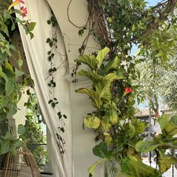 user provided Cajé Coffee Roasters photo