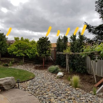 Moon Valley Nurseries - After trees, yellow marks = new - Nurseries & Gardening Near Me - Gilroy, California