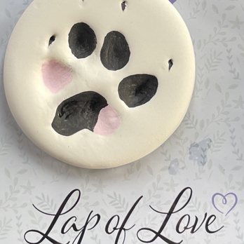 Lap of Love - They give you a paw print. I painted it to look like his paw. - Veterinarians Near Me Lap of Love - They give you a paw print. I painted it to look like his paw. - Veterinarians Near Me