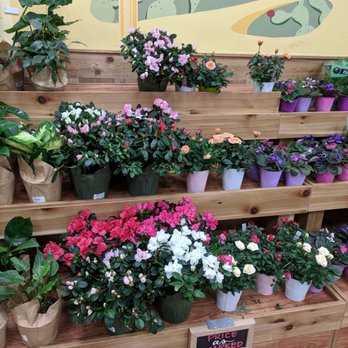 Trader Joe's - Grocery Near Me - Phoenix, Arizona
