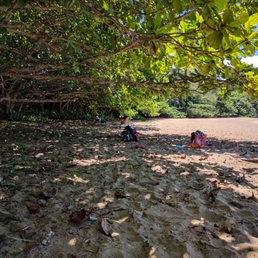 Shade under the trees. Shade under the trees.
