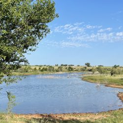 Bobcat Creek Rv Park - Lake is next to property.
