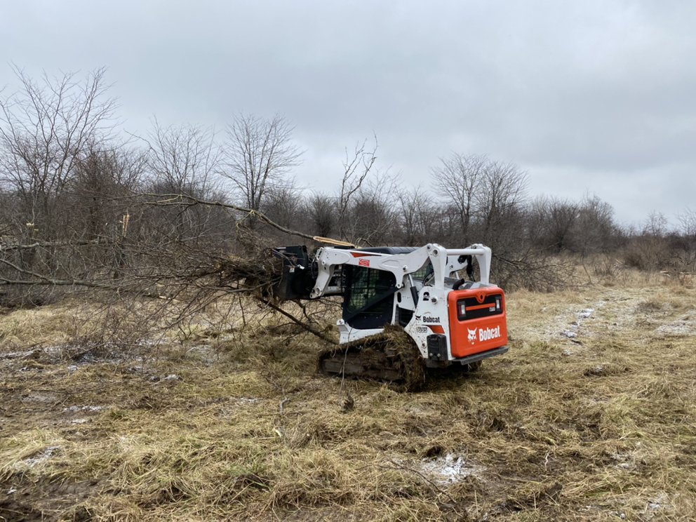 Land Management Resources - tree service in Des Moines, IA