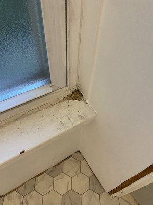 Chad Can Fix It Logo