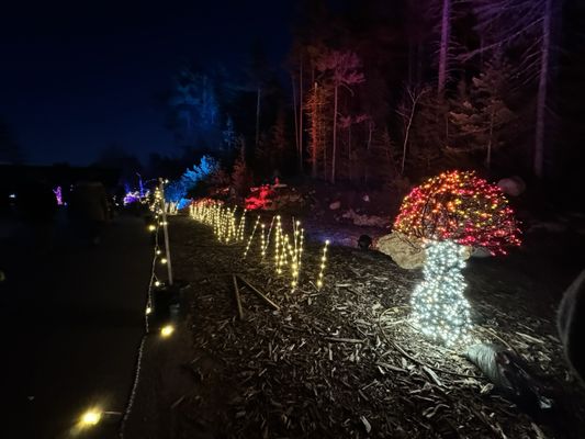 Coastal Maine Botanical Gardens by null