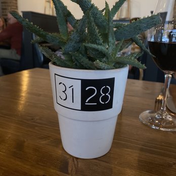 3128 Social House - On the back side of this is the QR code with the menu though they do have physical menus if desired. - A potted succulent plant with spiky, textured green leaves is positioned on a wooden table. The white ceramic pot has a black-and-white calendar design displaying the numbers 31 and 28. To the right of the plant, there is a glass of red wine. The background shows a blurred indoor setting with warm lighting and some furniture, indicating a dining or social environment. - Gastropubs Near Me - Albuquerque, New Mexico