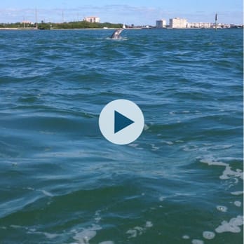 Speed Boat Adventures - Boat Charters Near Me - St Pete Beach, Florida Speed Boat Adventures - Boat Charters Near Me - St Pete Beach, Florida